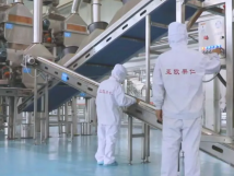2025年的第一個月，承德亞歐果仁有限公司在山杏產(chǎn)業(yè)的道路上持續(xù)奮進，展現(xiàn)出蓬勃的發(fā)展活力。